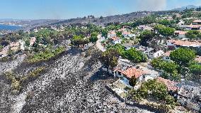 Izmir Wildfires 50 Thousand People Evacuated - Turkey