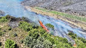 Izmir Wildfires 50 Thousand People Evacuated - Turkey