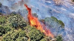 Izmir Wildfires 50 Thousand People Evacuated - Turkey
