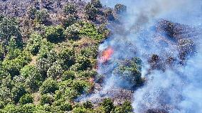 Izmir Wildfires 50 Thousand People Evacuated - Turkey