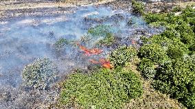 Izmir Wildfires 50 Thousand People Evacuated - Turkey
