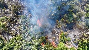 Izmir Wildfires 50 Thousand People Evacuated - Turkey