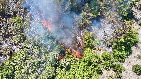 Izmir Wildfires 50 Thousand People Evacuated - Turkey