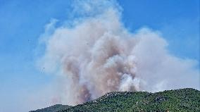 Izmir Wildfires 50 Thousand People Evacuated - Turkey