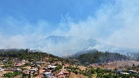 Izmir Wildfires 50 Thousand People Evacuated - Turkey