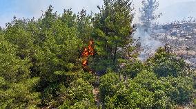 Izmir Wildfires 50 Thousand People Evacuated - Turkey