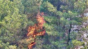 Izmir Wildfires 50 Thousand People Evacuated - Turkey