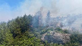 Izmir Wildfires 50 Thousand People Evacuated - Turkey