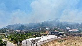 Izmir Wildfires 50 Thousand People Evacuated - Turkey