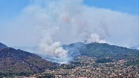 Izmir Wildfires 50 Thousand People Evacuated - Turkey