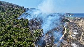 Izmir Wildfires 50 Thousand People Evacuated - Turkey