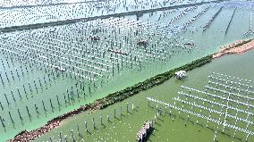 China Photovoltaic Industry