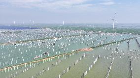 China Photovoltaic Industry