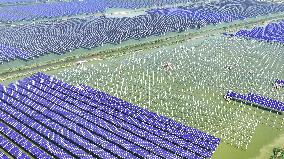 China Photovoltaic Industry