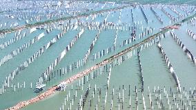 China Photovoltaic Industry