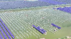 China Photovoltaic Industry