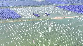 China Photovoltaic Industry