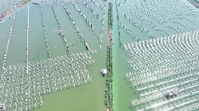 China Photovoltaic Industry