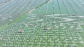 China Photovoltaic Industry