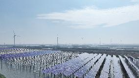 China Photovoltaic Industry