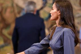 Queen Letizia Receives In Audience - Madrid