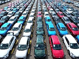 Chinese New Energy Vehicles Export Growth