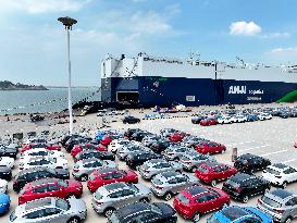 Chinese New Energy Vehicles Export Growth