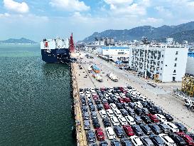 Chinese New Energy Vehicles Export Growth