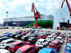 Chinese New Energy Vehicles Export Growth