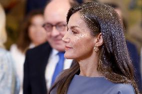 Queen Letizia During An Audience - Madrid