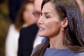 Queen Letizia During An Audience - Madrid