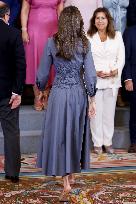Queen Letizia During An Audience - Madrid