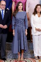 Queen Letizia During An Audience - Madrid