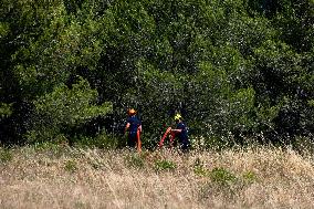 Illustration - Firefighters Response to Fires in Var - France