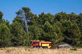 Illustration - Firefighters Response to Fires in Var - France