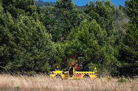 Illustration - Firefighters Response to Fires in Var - France