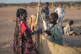 Sudanese Refugee Relocation - Chad