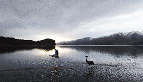 Wetlands Guard Bird Species from Plateau to Urban Landscape - China