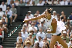 Tennis: Wimbledon championships