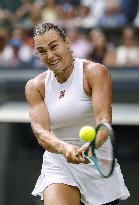 Tennis: Wimbledon championships