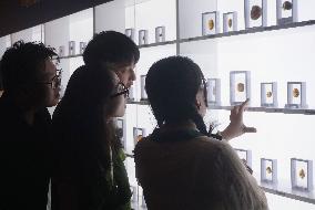 Global Amber Art Exhibition in Hangzhou