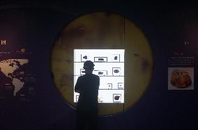 Global Amber Art Exhibition in Hangzhou