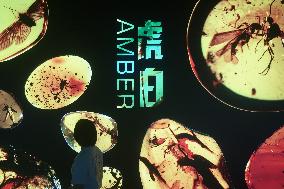 Global Amber Art Exhibition in Hangzhou