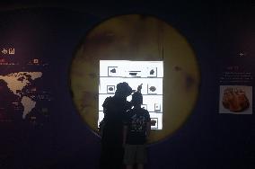 Global Amber Art Exhibition in Hangzhou