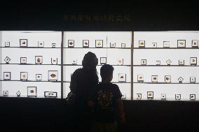 Global Amber Art Exhibition in Hangzhou