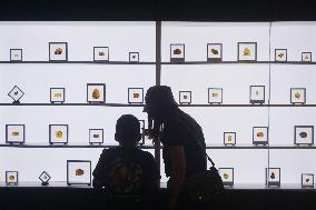 Global Amber Art Exhibition in Hangzhou