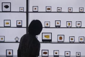 Global Amber Art Exhibition in Hangzhou