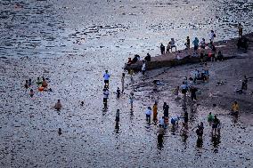Citizens Enjoy Coolness in Jialing River in Chongqing