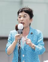 Japan upper house election campaign
