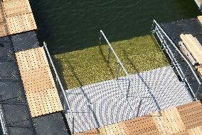 Preparation of The Bercy Site for The Opening of Swimming in The Seine - Paris